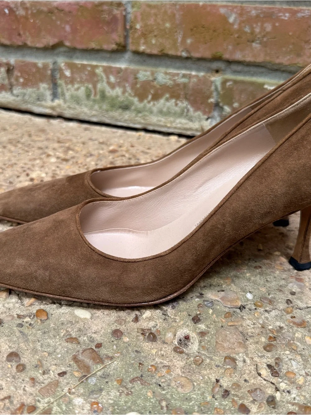 Manolo Blahnik Brown Suede Pointed Toe Pumps